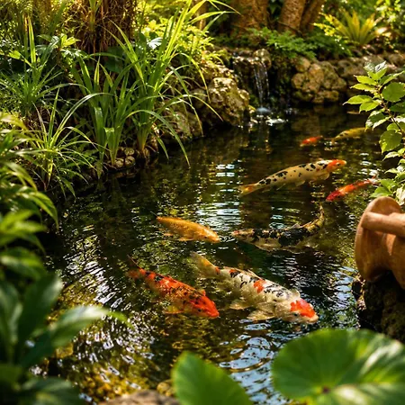 Garden Fuorirotta Nocleg ze śniadaniem 4*