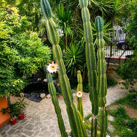 Garden Fuorirotta