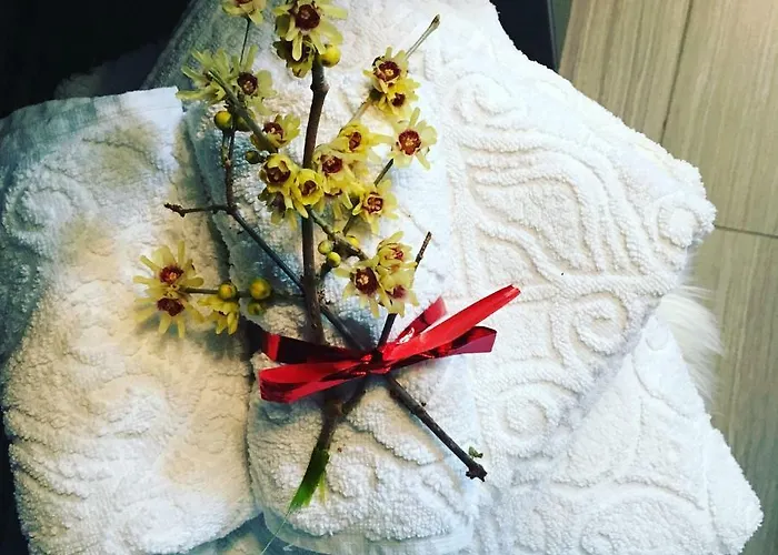 Garden Fuorirotta 3* San Giovanni Teatino